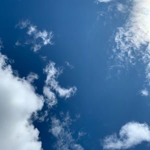 Meet your Posher, Nari